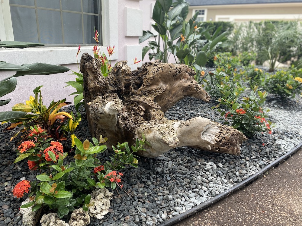 Sustainable front-yard full of palm trees, showcasing excellent landscaping with a garden with a mix of edible and ornamental plants in Florida