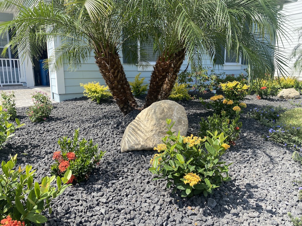 Landscaping in Florida done right with Coconut Grove