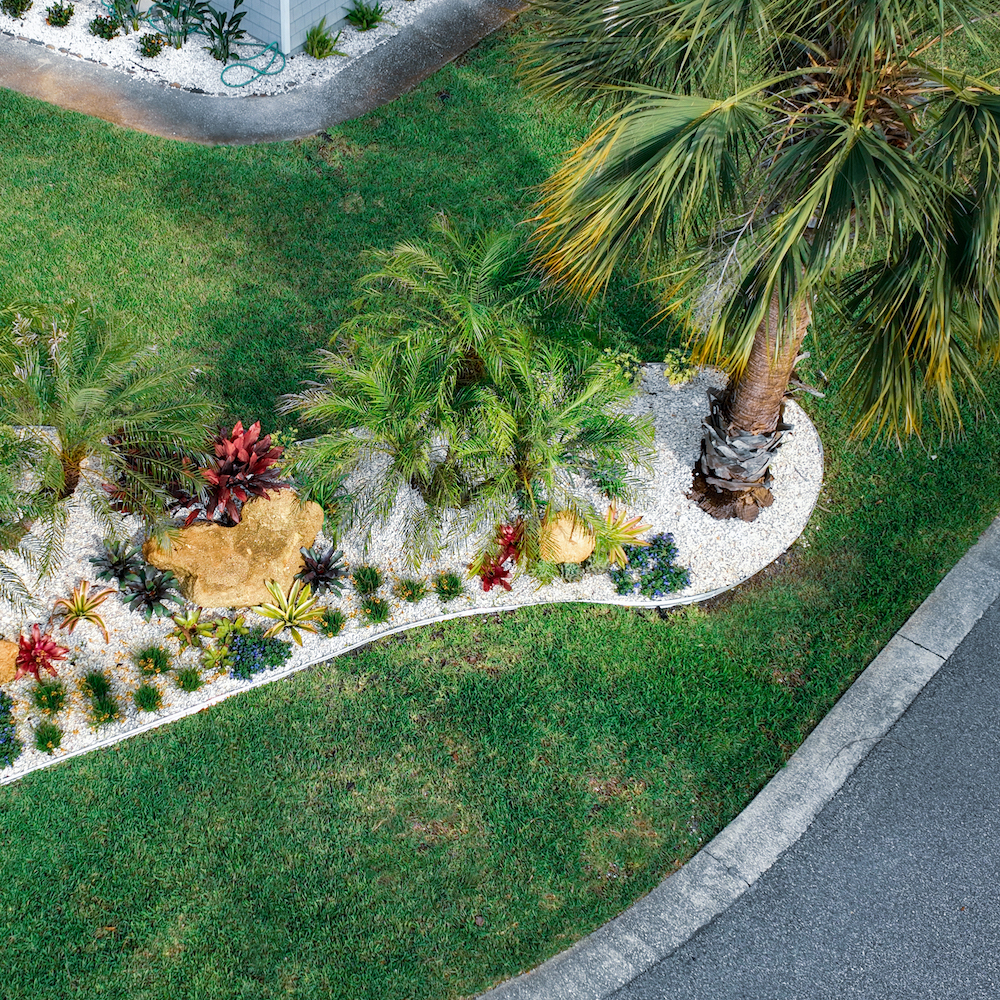 ariel view of a palm tree with garden using native plants only known in the Florida Coast