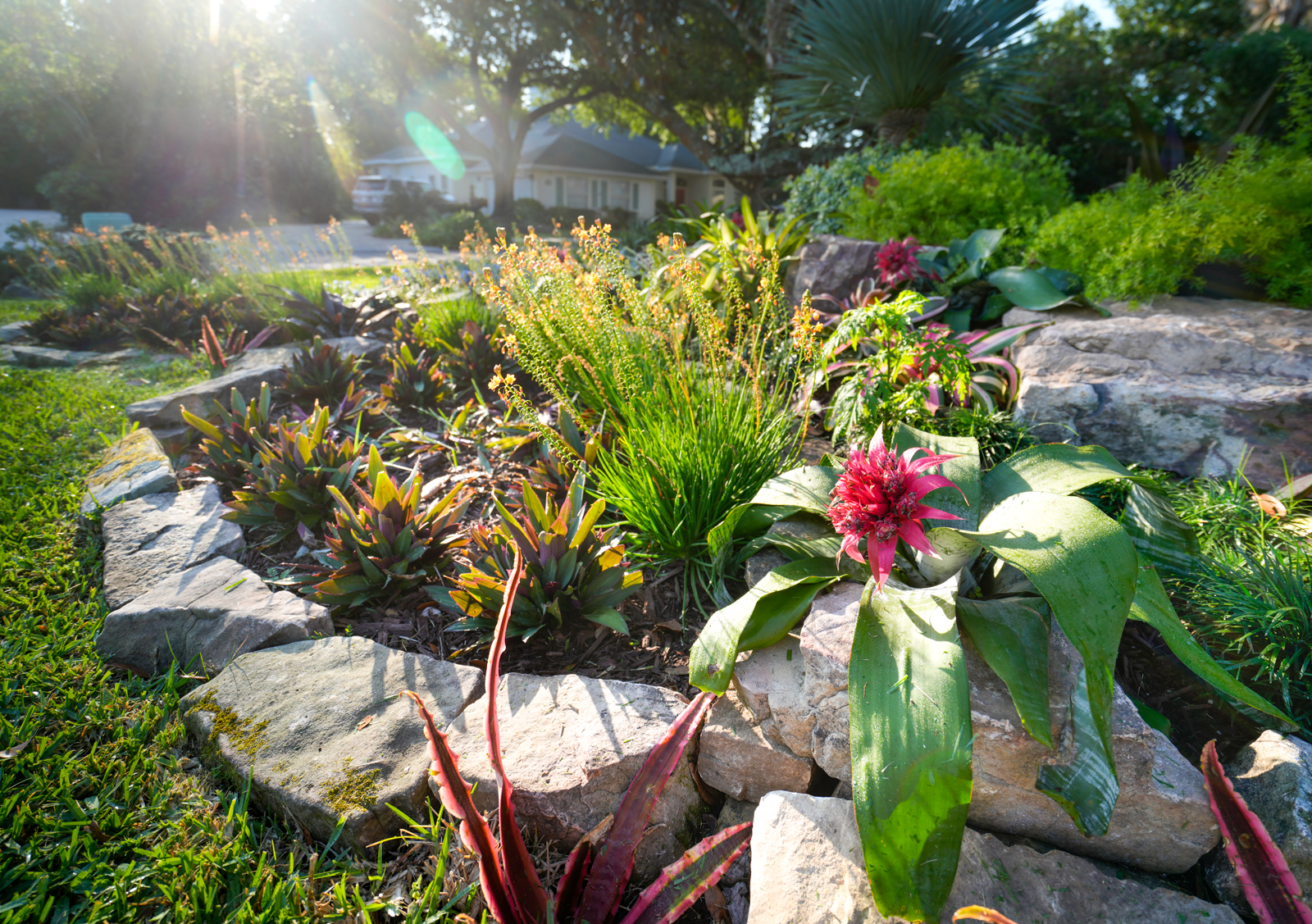 Elegant stone edging delineating walkways and planting areas, contributing to a well-defined and organized garden layout