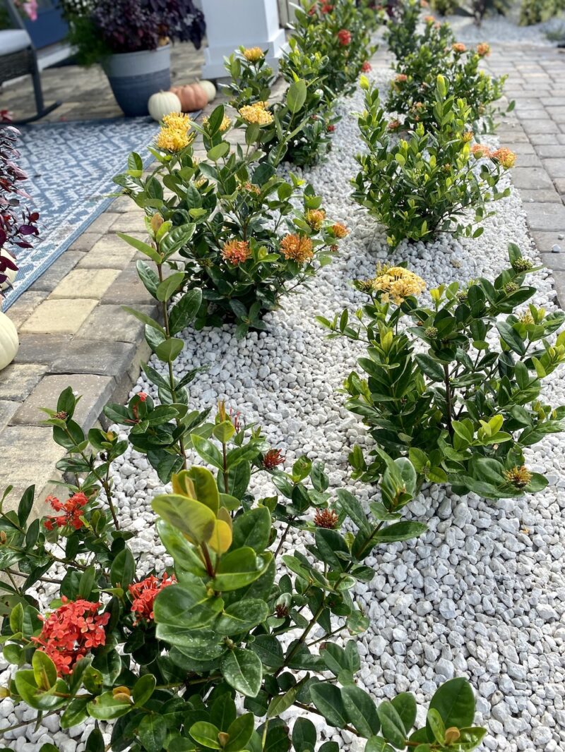 Landscape edging along a garden bed in Punta Verde, FL