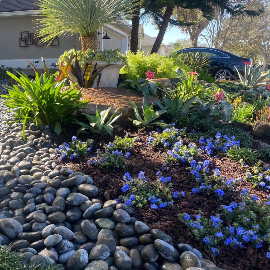 home-our-projects-opt Coconut Grove Landscape & Design our projects are inspired by the soul of the environment and our customer’s vision