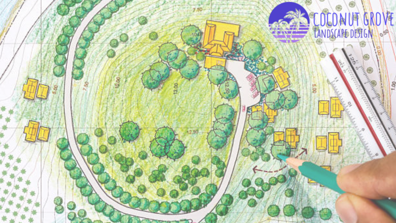 Initial landscape design sketch by Coconut Grove Landscape & Design for Florida backyard ideas in 2024