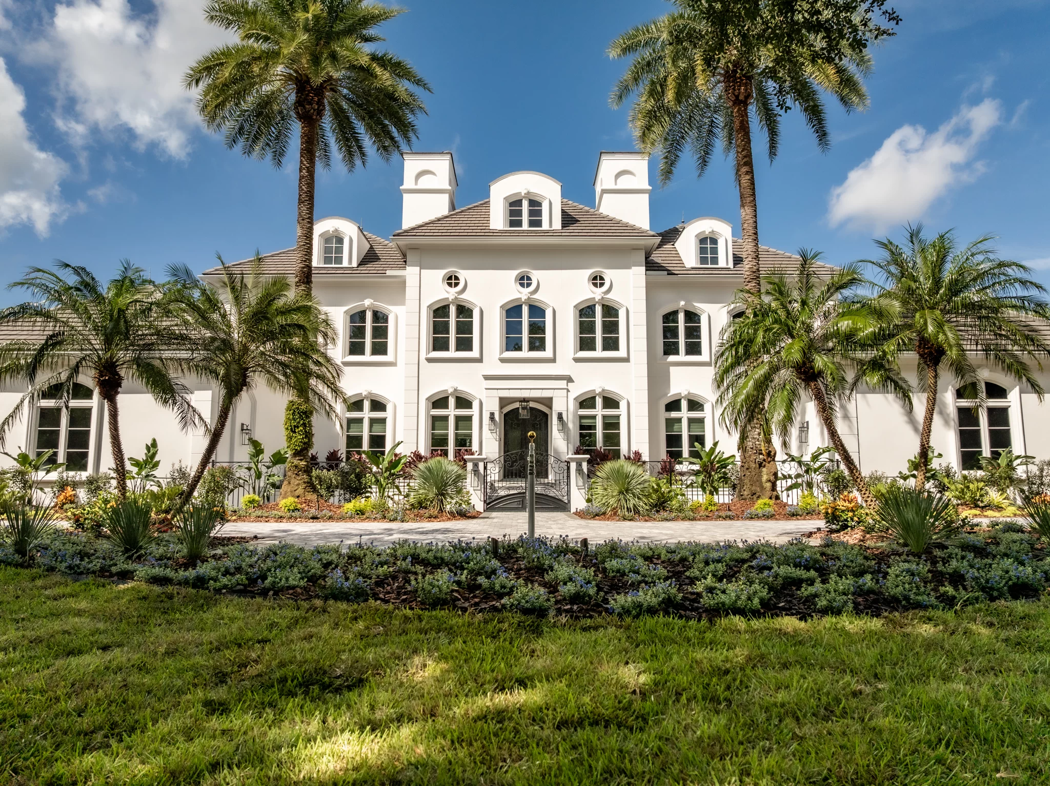 Palm Garden Entrance Palm tree entrance design in Pablo Creek Reserve with ornamentals and coastal curb appeal