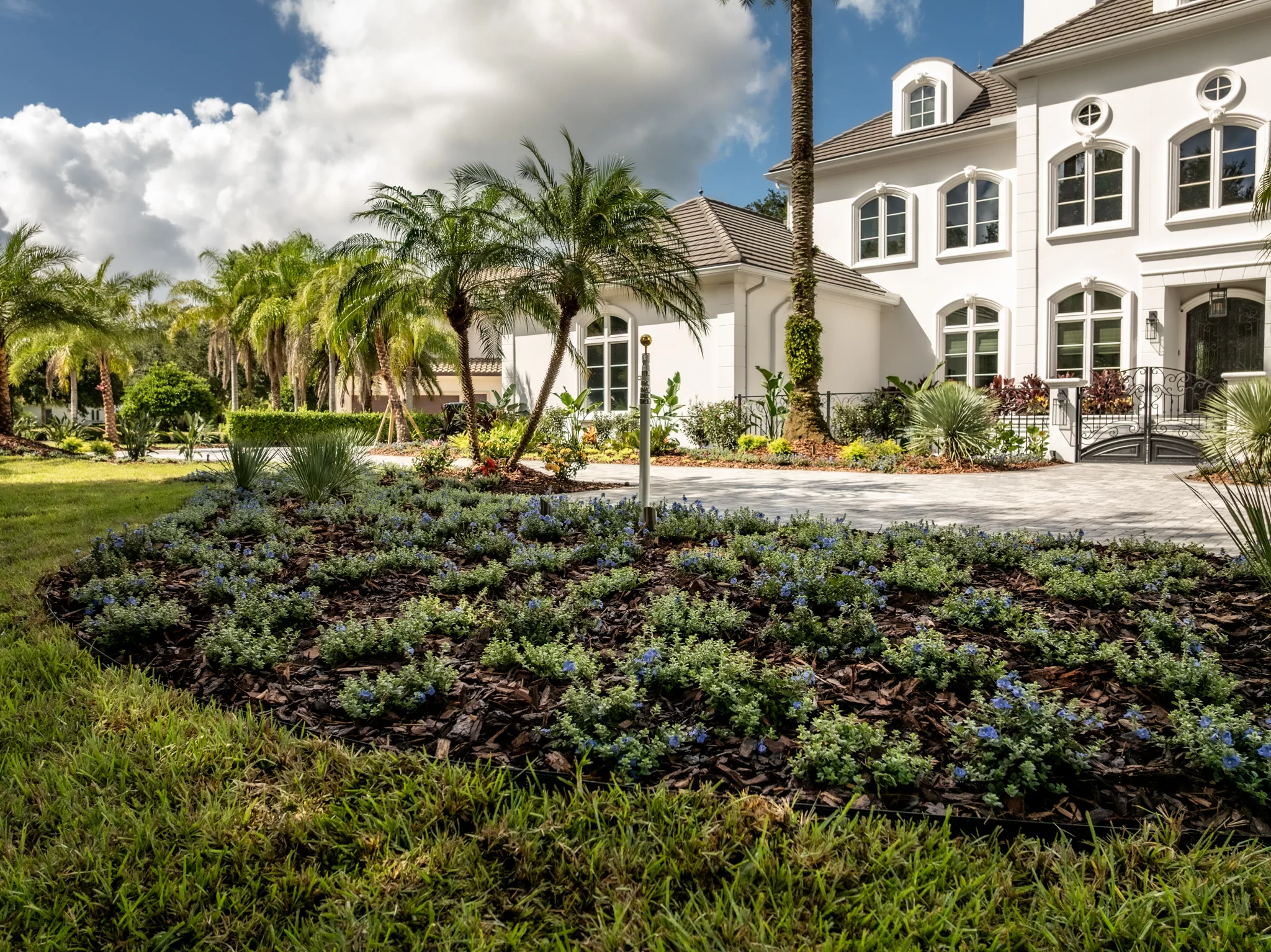 Resort-Style Cabana Poolside cabana in Pablo Creek Reserve with luxury landscape installation and palm trees