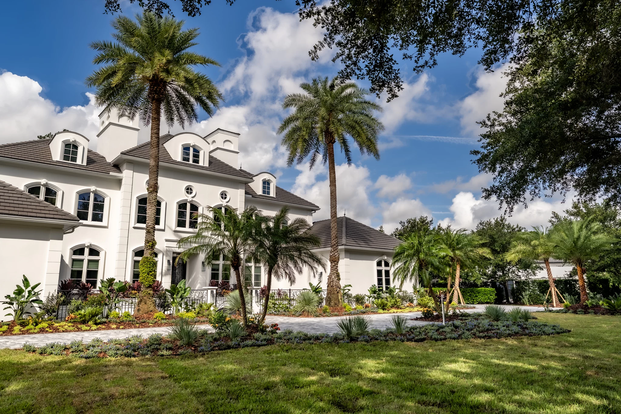 Coastal Green Lawn Coastal lawn installation in Pablo Creek Reserve with St. Augustine grass and tropical plants