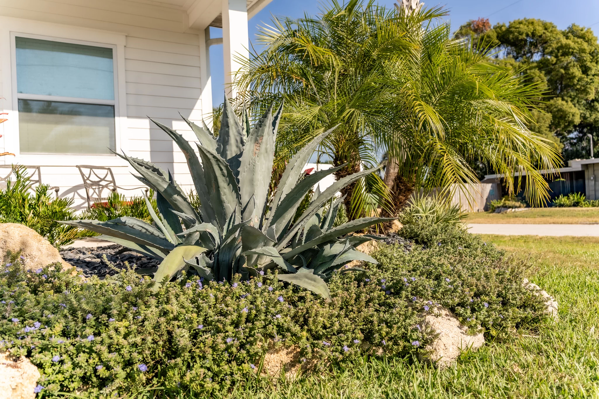 Stone Border Garden Custom stone border landscape in Jacksonville Beach with boulders, edging, and greenery