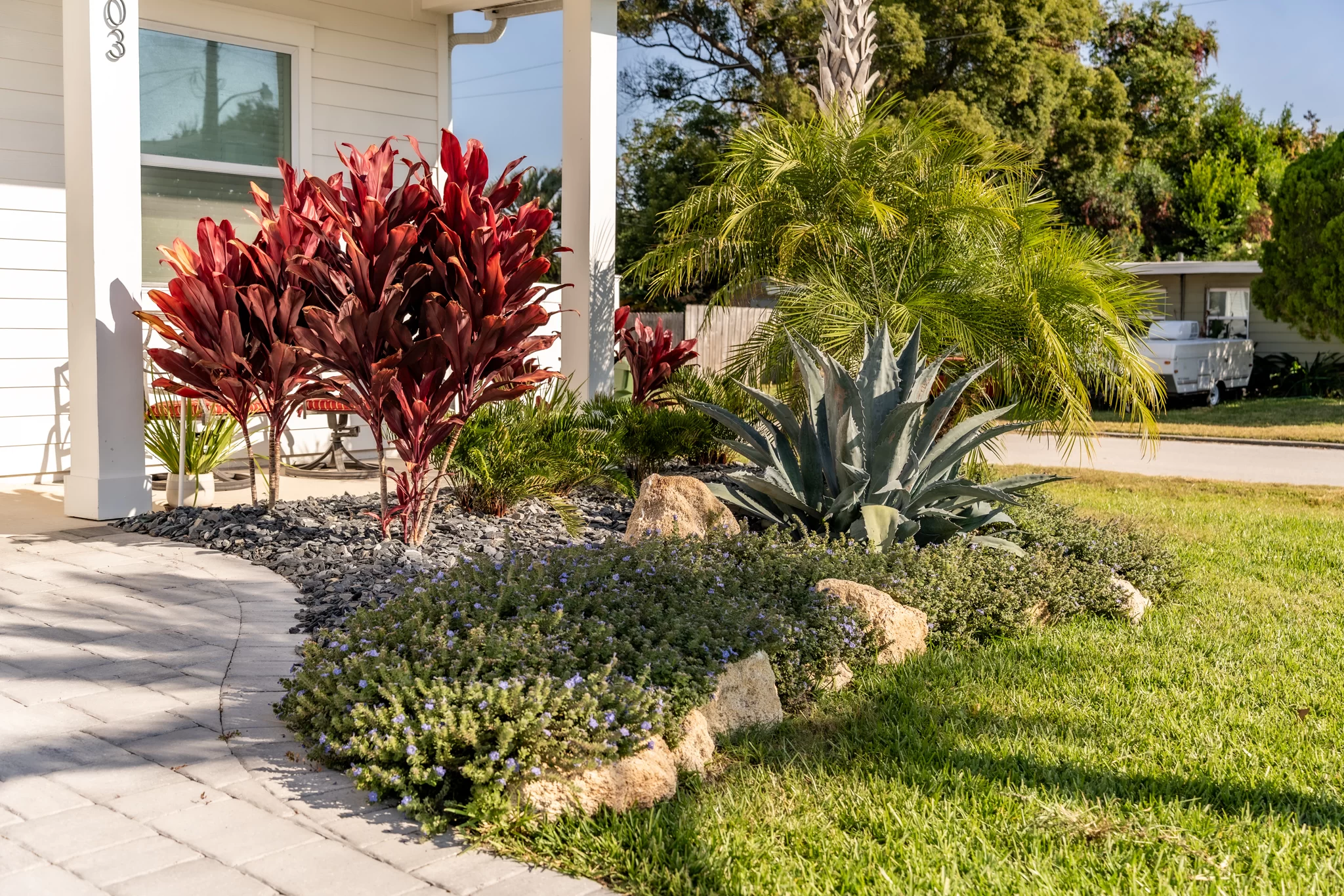Drought-Friendly Landscape Drought-resistant landscape installation in Jacksonville Beach with palms and seasonal color
