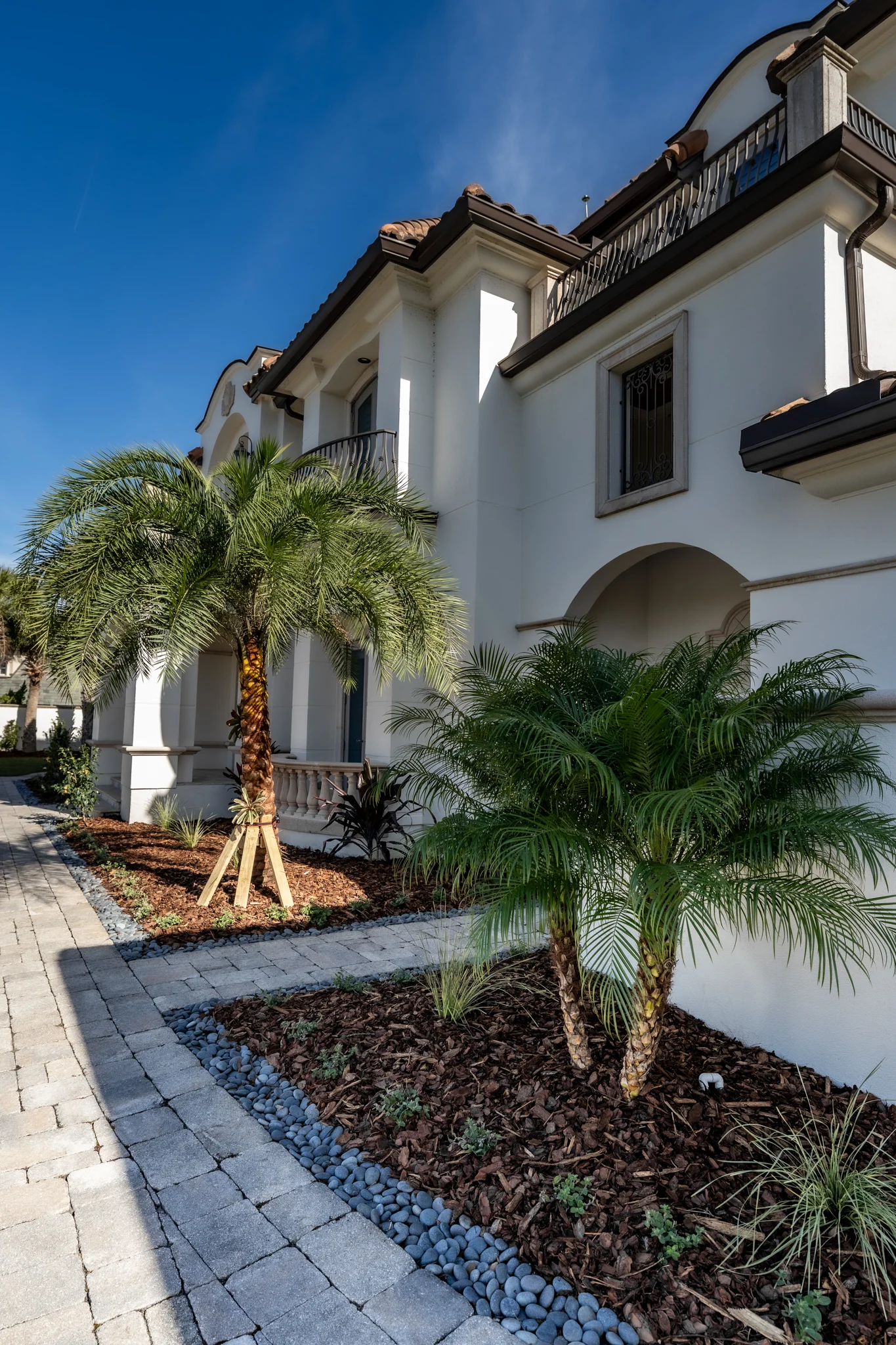 Seasonal Color Beds Seasonal color planting beds on Ponte Vedra Blvd with palms, shrubs, and coastal greenery