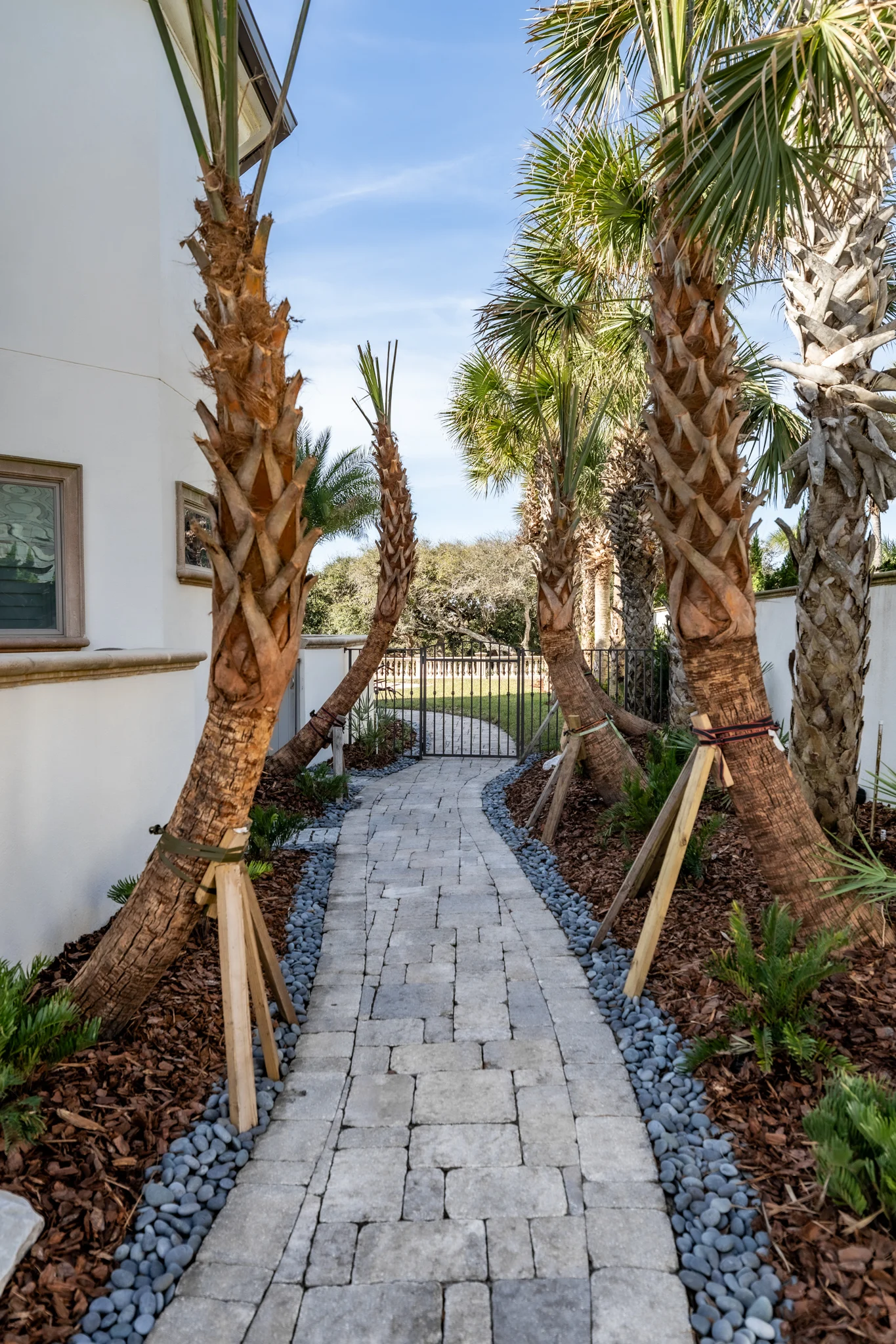 Palm-Lined Driveway Palm tree installation on Ponte Vedra Blvd with premium shrubs and tropical curb appeal